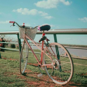Panier sur vélo féminin